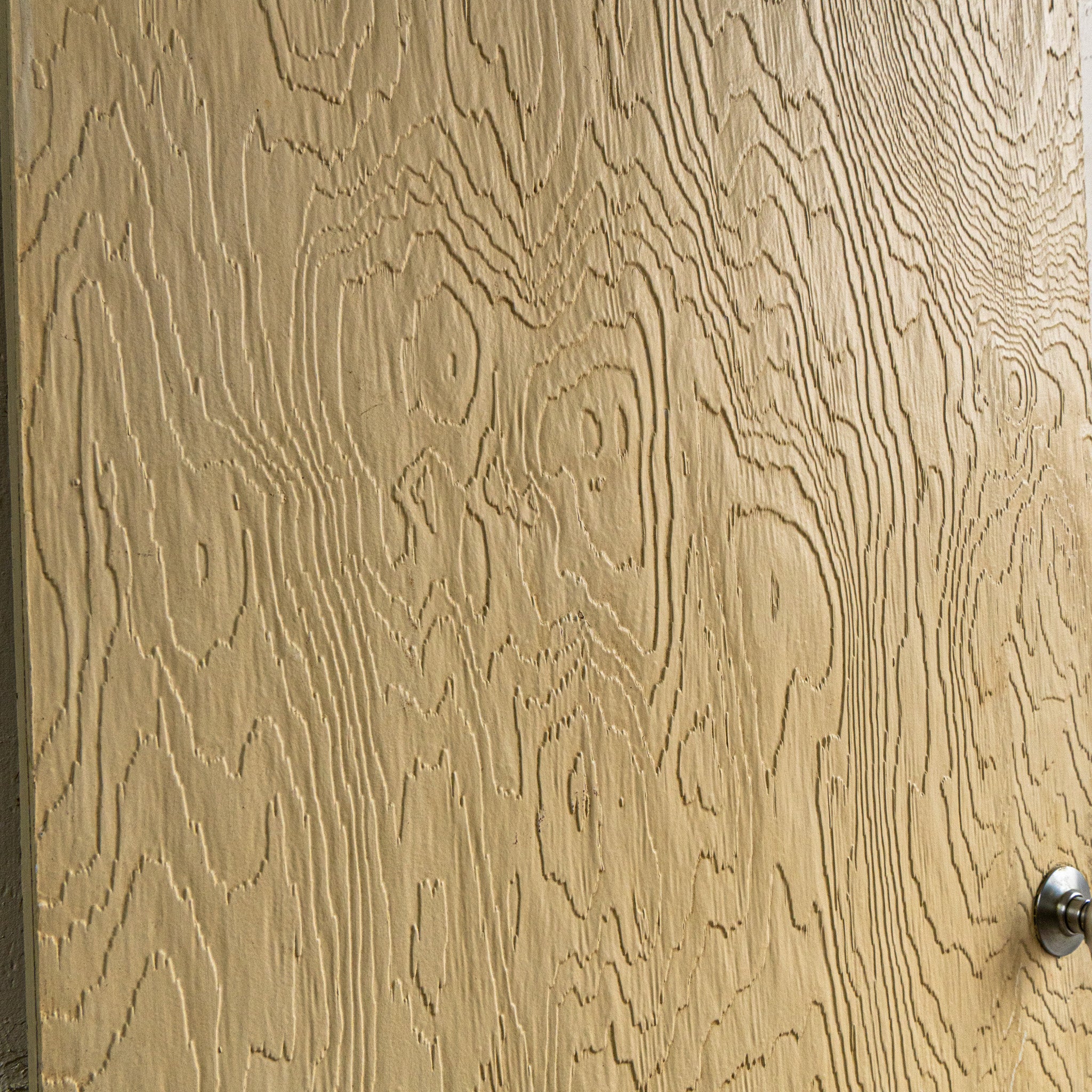 Midcentury Wood Panel Door