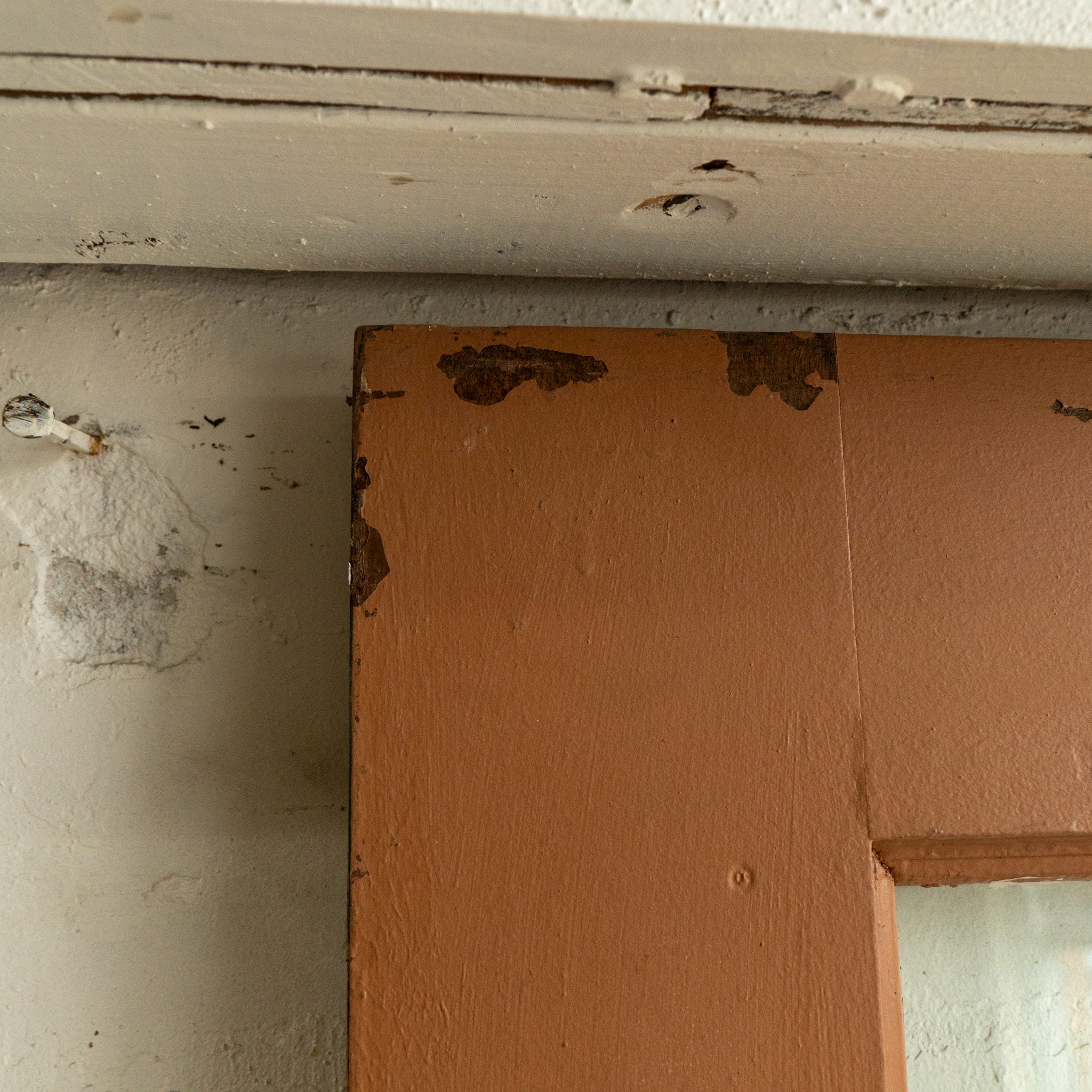 Hamtramck Oak School Door